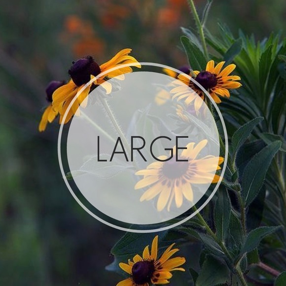 Large items:) - Picture 1 of 1